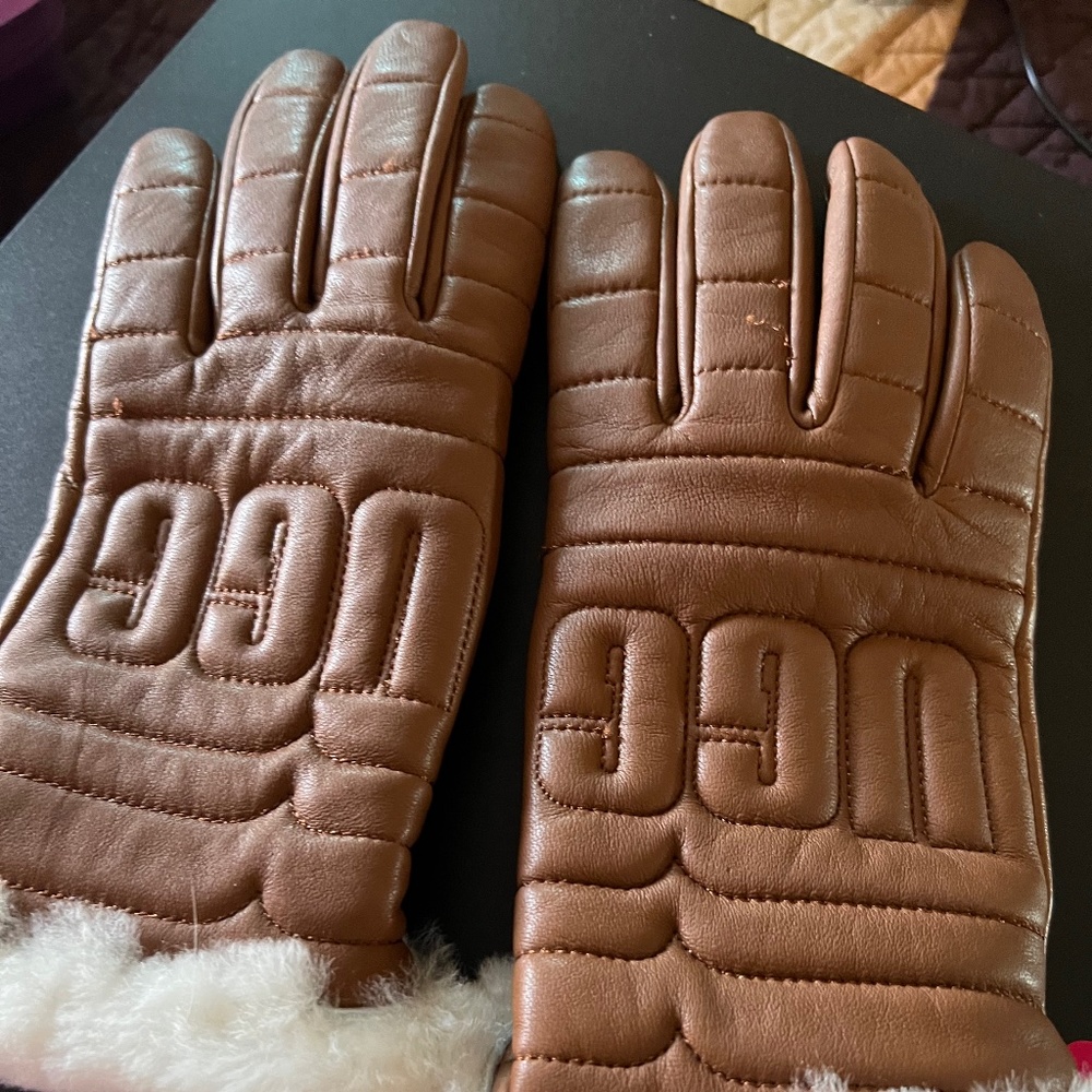 Ugg Gloves